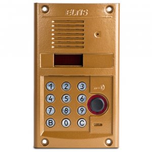 DP300-RDC24 (золото) Блок вызова домофона